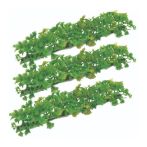 Διακοσμητική πρασινάδα ΧR 35 - Mαϊντανός 250 x 50 x 50mm